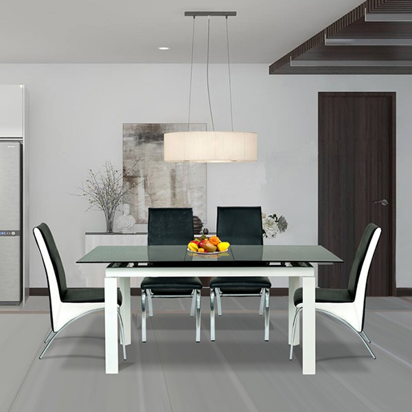 Bộ bàn ghế ăn B55-G56