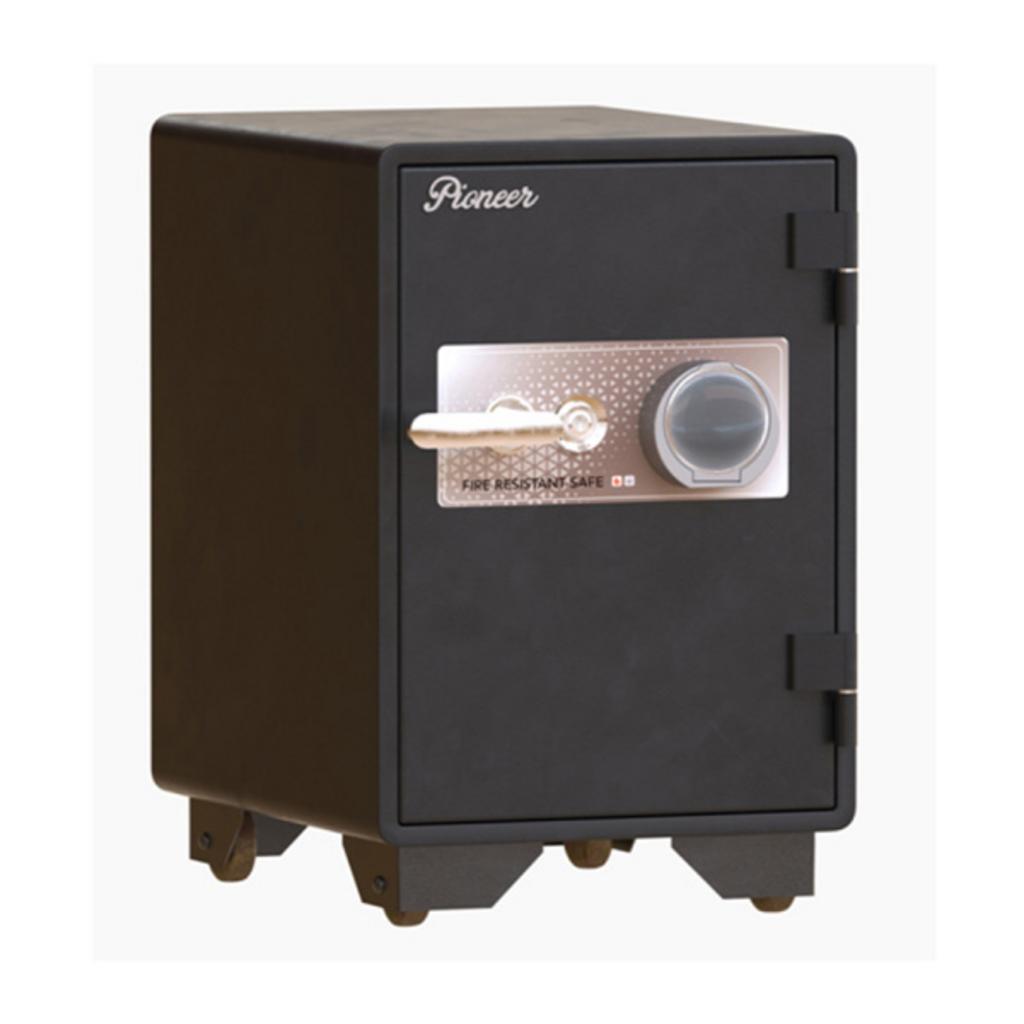 Két sắt cao cấp PIONEER PI86K1DT