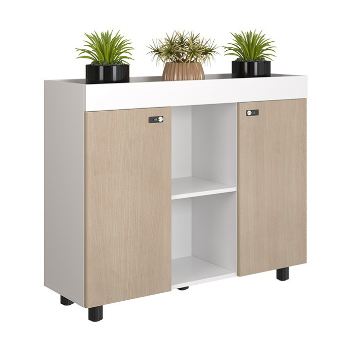 Tủ tài liệu Hòa Phát NTV1000-3T2