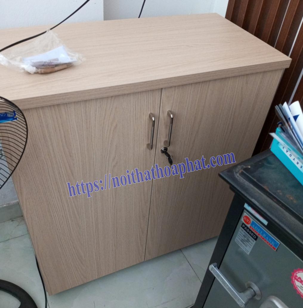 Thông số kỹ thuật Tủ tài liệu AT880D