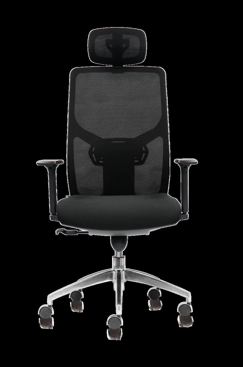 Ghế Rex 01 — thiết kế công thái học, phù hợp cho làm việc cả ngày.