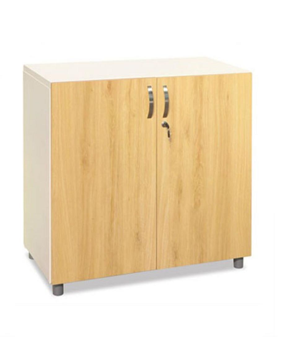 Tủ TSG02-2 với kích thước nhỏ gọn, phù hợp tối ưu cho không gian văn phòng hạn chế diện tích.