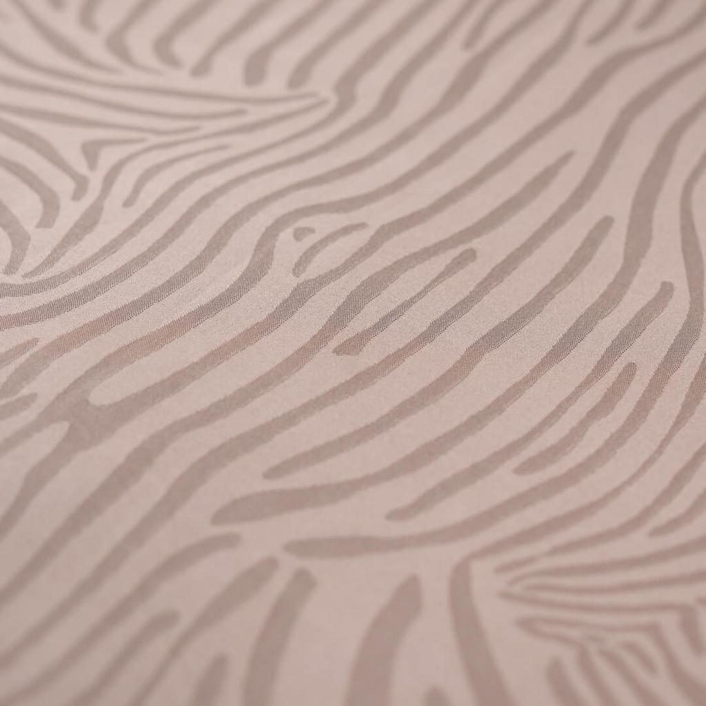 Bộ 5 chi tiết — đầy đủ kích thước, dễ sử dụng.