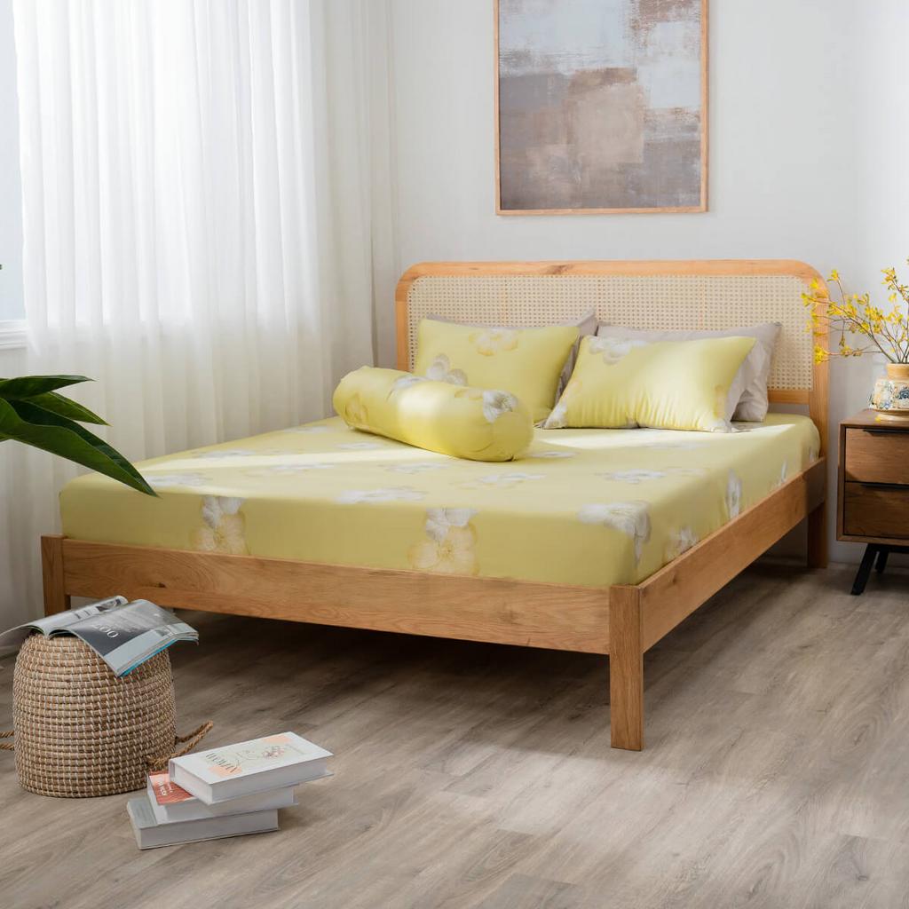 Ga chun ôm sát nệm dày dưới 25cm — không lo tuột.