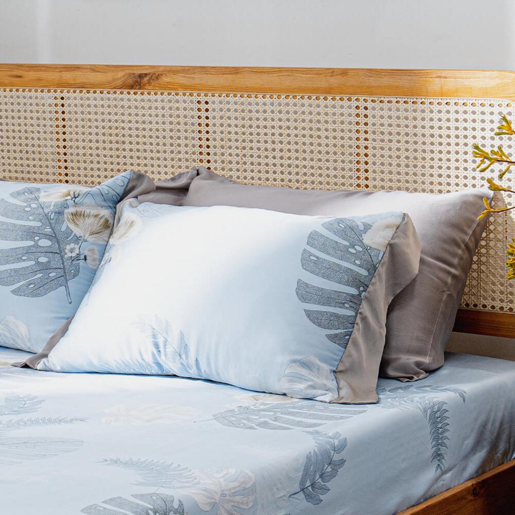 Minh họa các tính năng chính của Amando Bliss TC004.