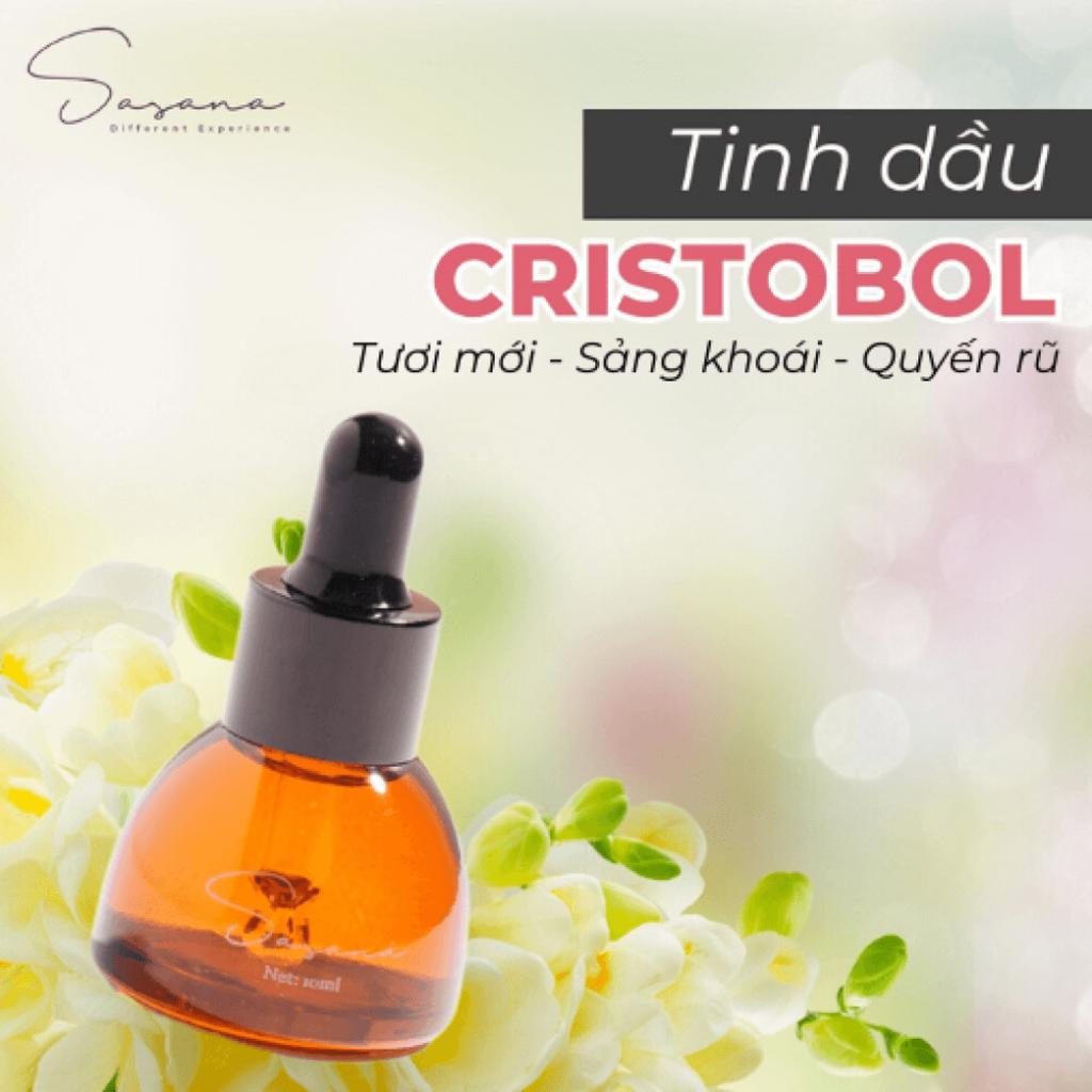 Tinh dầu Cristobol — phối cảnh hero với nốt mùi trái cây, hoa nhài và nền gỗ.