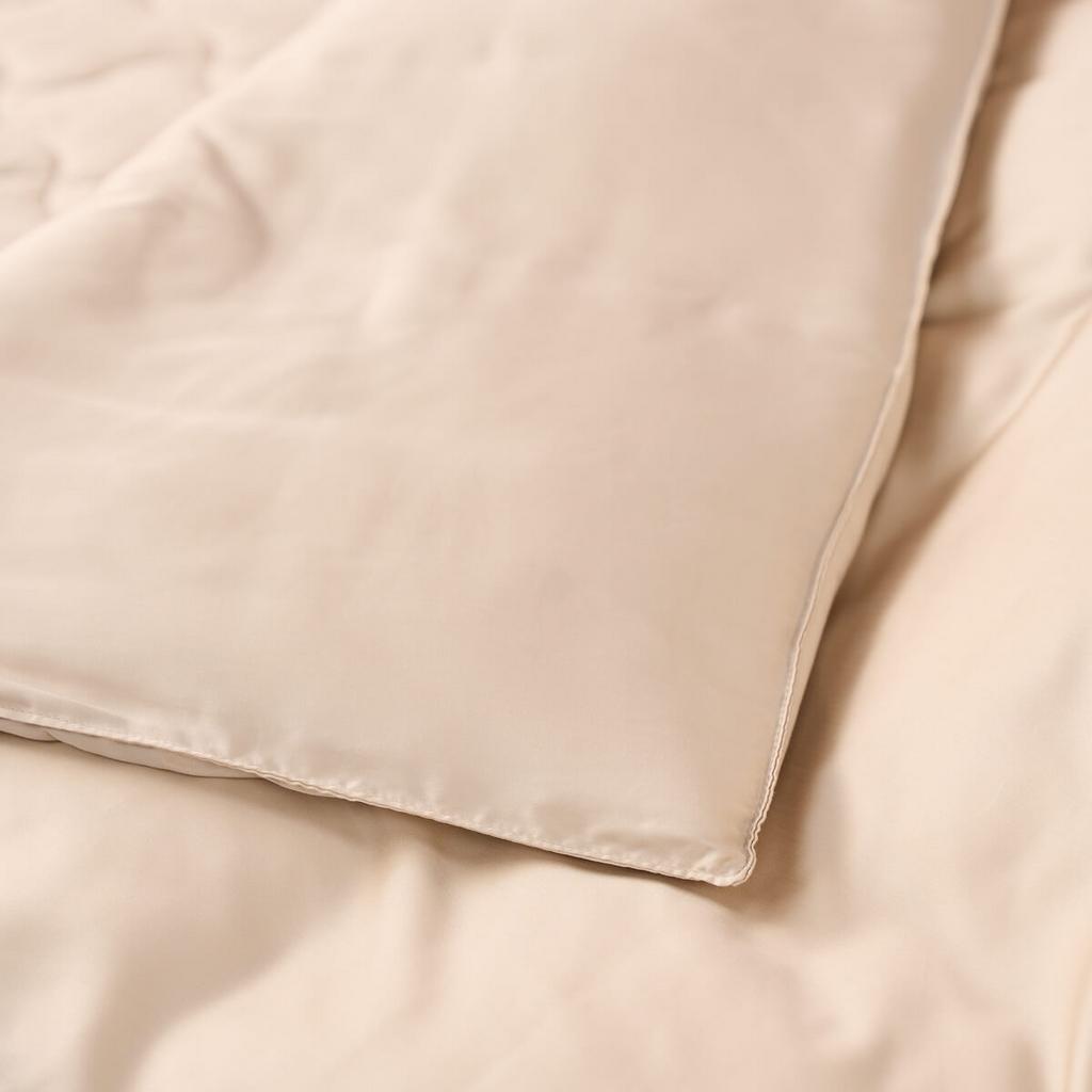 Biểu tượng minh họa quyền lợi khách hàng: Bảo hành, Chính hãng, Giao hàng nhanh.