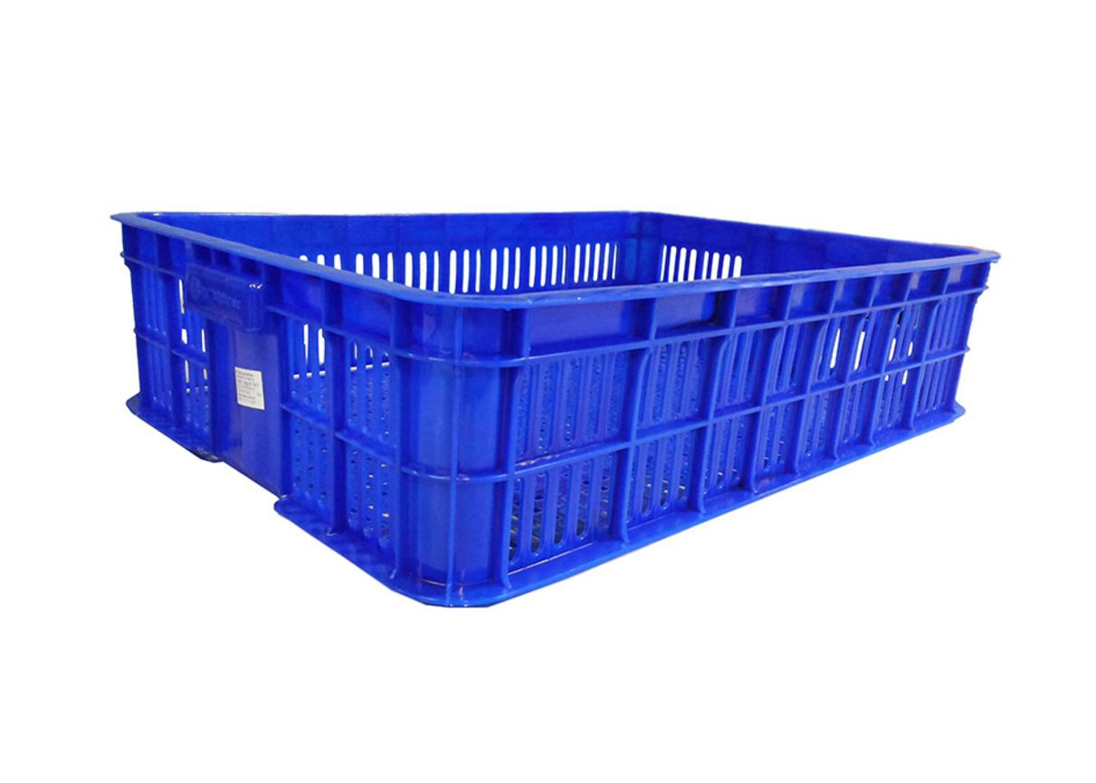 Sóng hở 1 Tấc 5