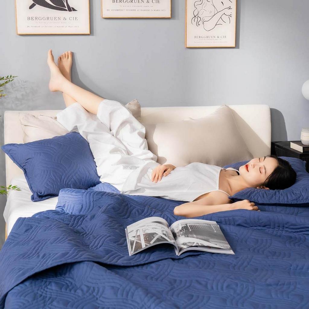 Bộ chăn chần, vỏ gối Microfiber mềm mại, kháng khuẩn Amando Luna 3 chi tiết