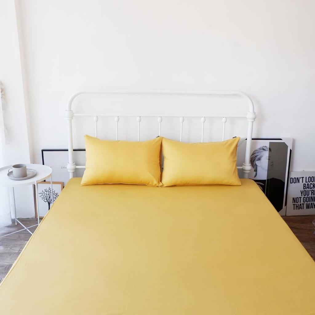 Thoáng khí và hút ẩm — thích hợp cho khí hậu nóng ẩm.