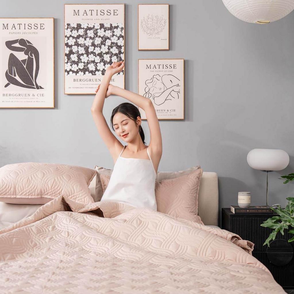 Bộ chăn chần, vỏ gối Microfiber mềm mại, kháng khuẩn Amando Luna 3 chi tiết