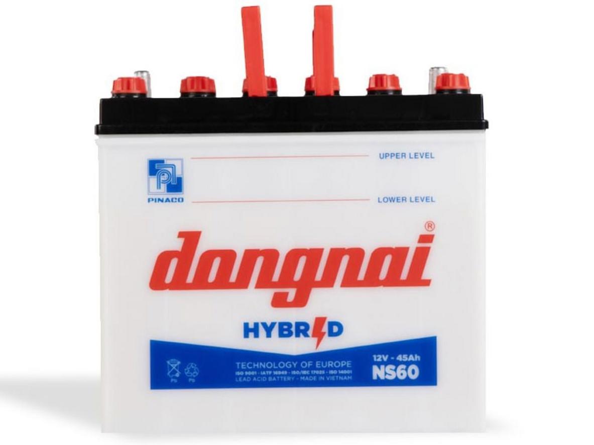 Ảnh thực tế Ắc quy Hybrid Đồng Nai NS60 kèm mắt thần và nhãn PINACO.