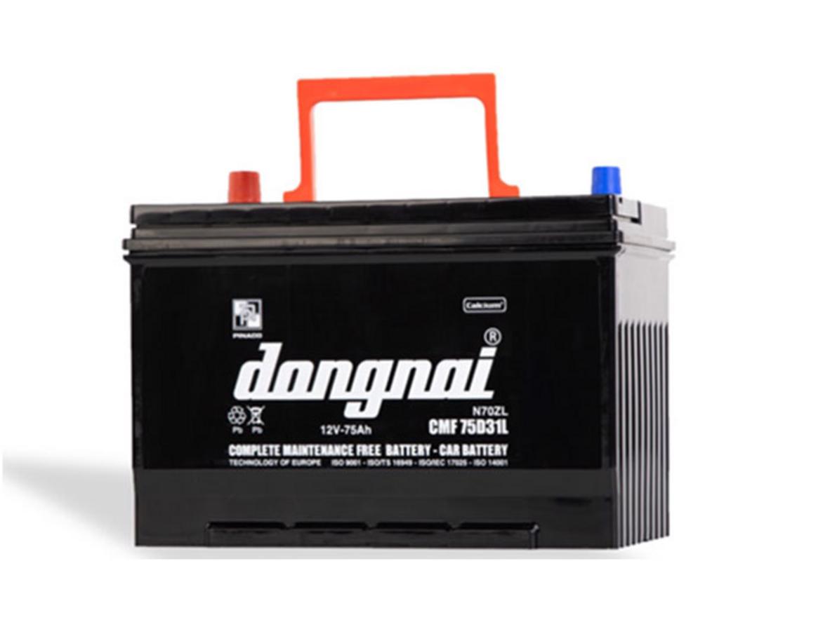 Ảnh thật sản phẩm: Đồng Nai CMF 75D31 (mắt thần, cọc L/R) — kèm ảnh lắp đặt thực tế.