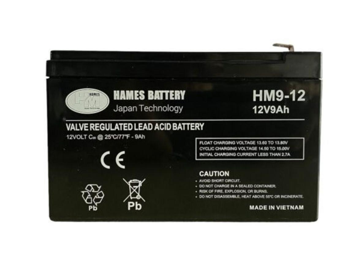 Ảnh thực tế Ắc quy Hames HM9-12 - tem, cọc F2, kích thước tương đối.
