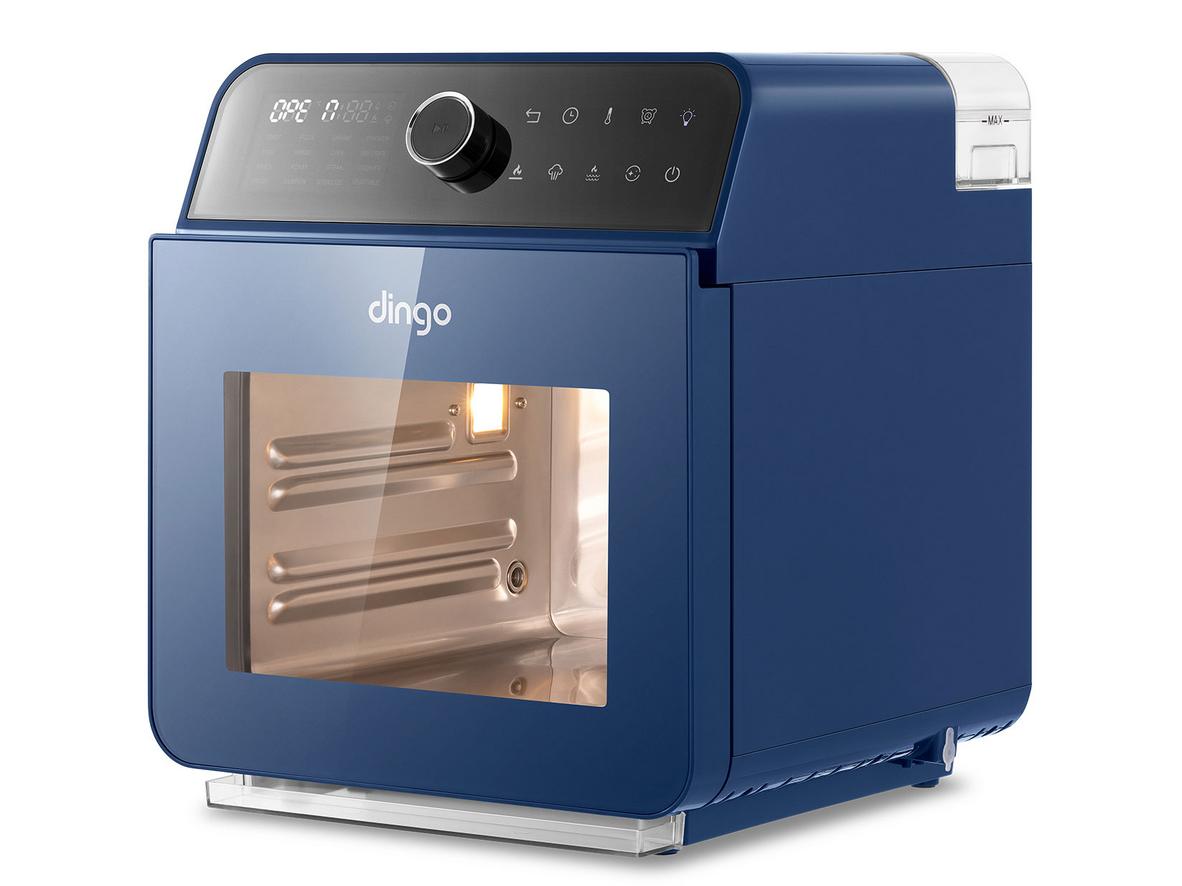 Tổng quan Nồi chiên hơi nước Dingo DSF16