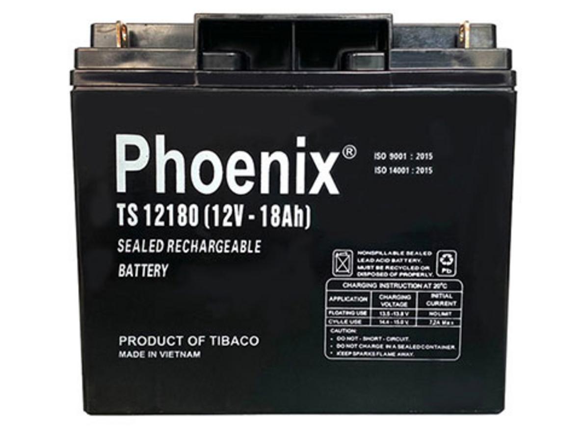 Ảnh thực tế Ắc quy Phoenix TS12180 — hộp & tem chính hãng.