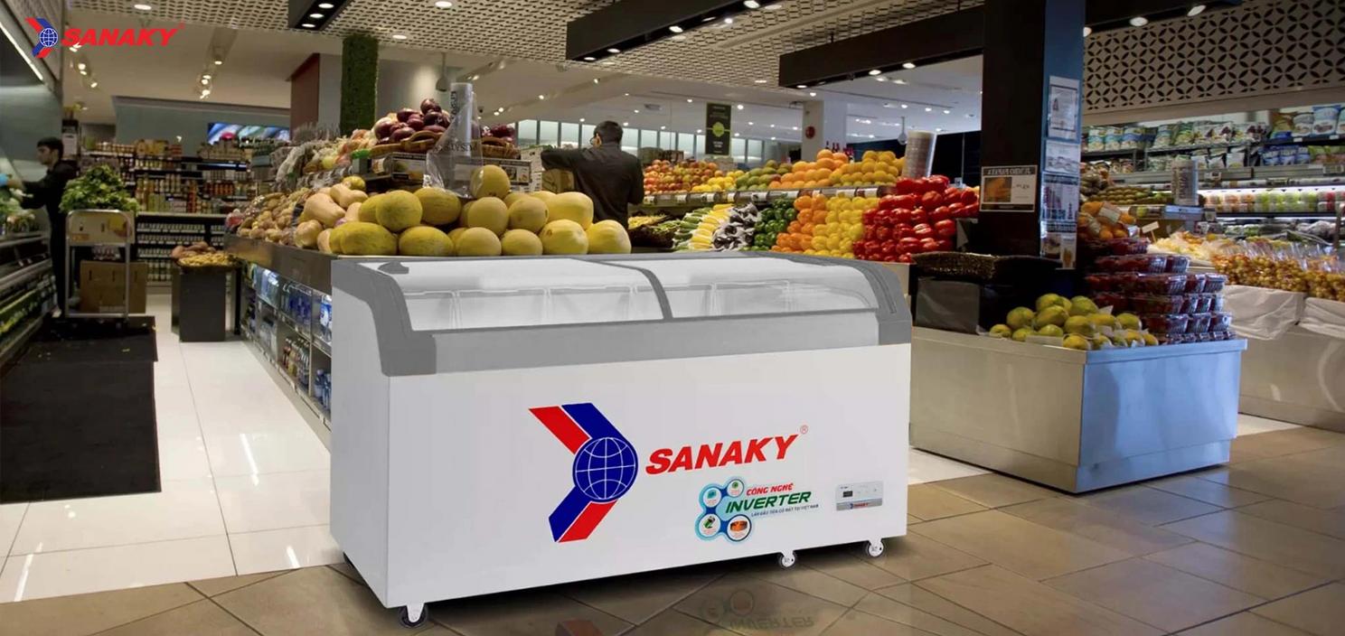 Tổng quan Tủ Đông Sanaky VH-1099K3A