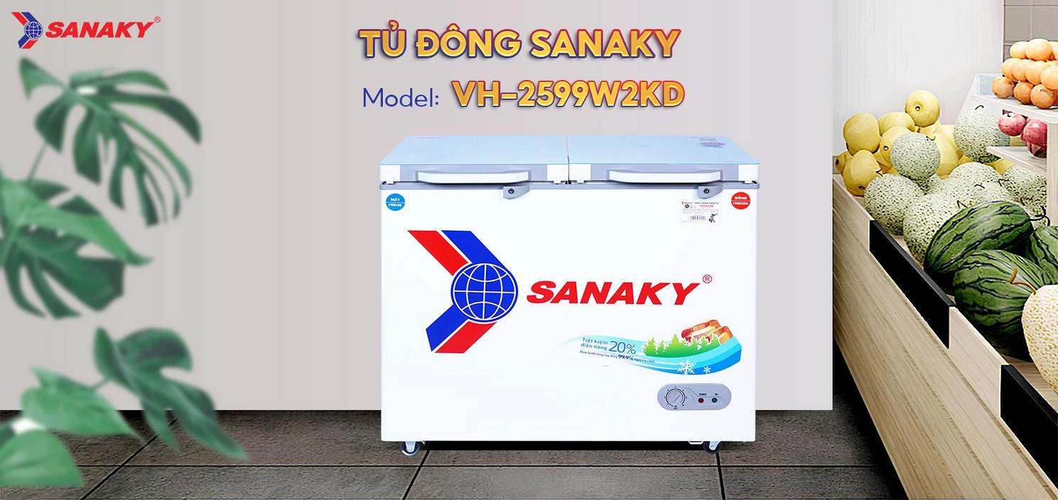 Tổng quan Tủ Đông Sanaky VH-2599W2KD