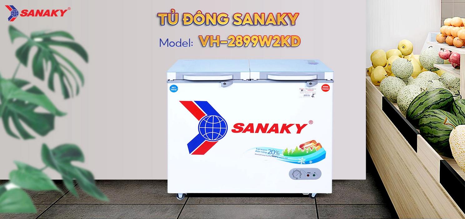 Tổng quan Tủ Đông Sanaky VH-2899W2KD