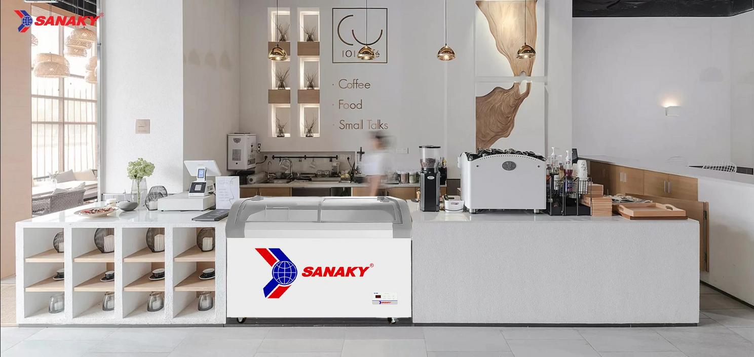 Tổng quan Tủ Đông Sanaky VH-382KB