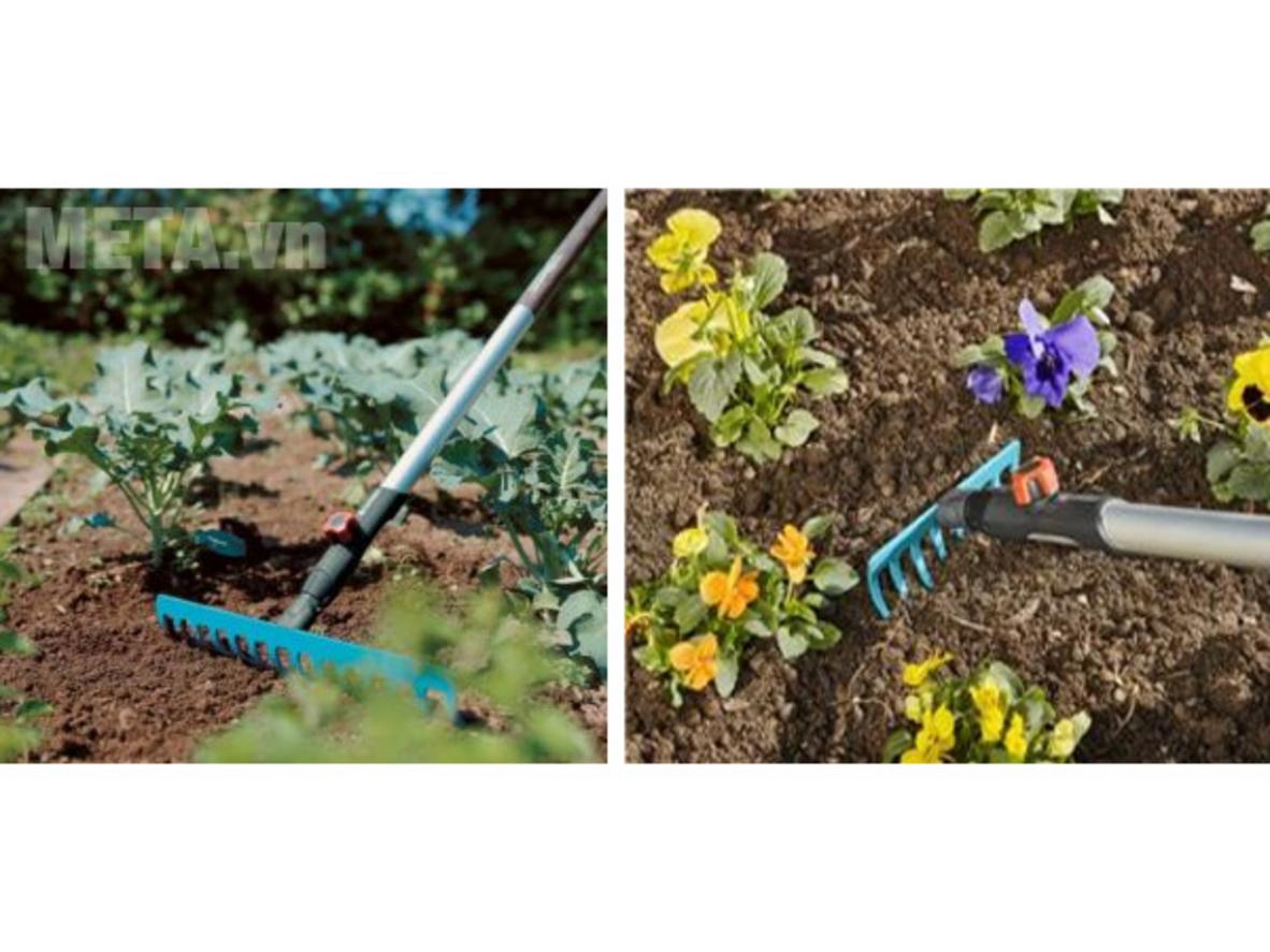 16 ngạnh giúp làm tơi đất hiệu quả