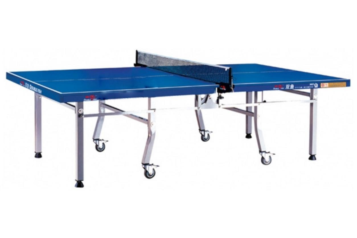 Tổng quan Bàn bóng bàn Double Fish DF-301