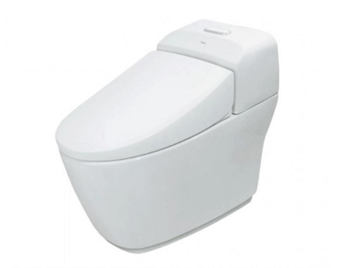 Tổng quan Bàn cầu Inax AC-1032VN