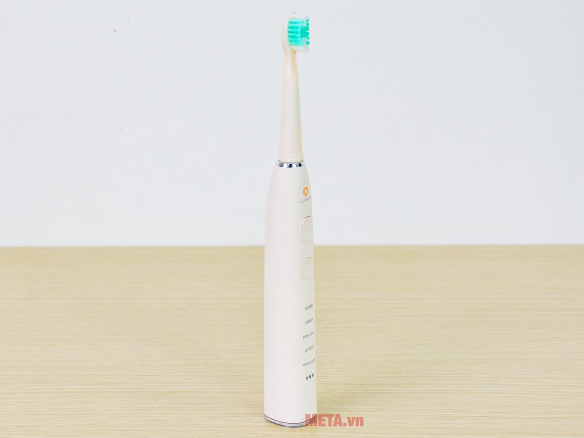 Quyền lợi khách hàng tại Siêu Thị Đại Việt