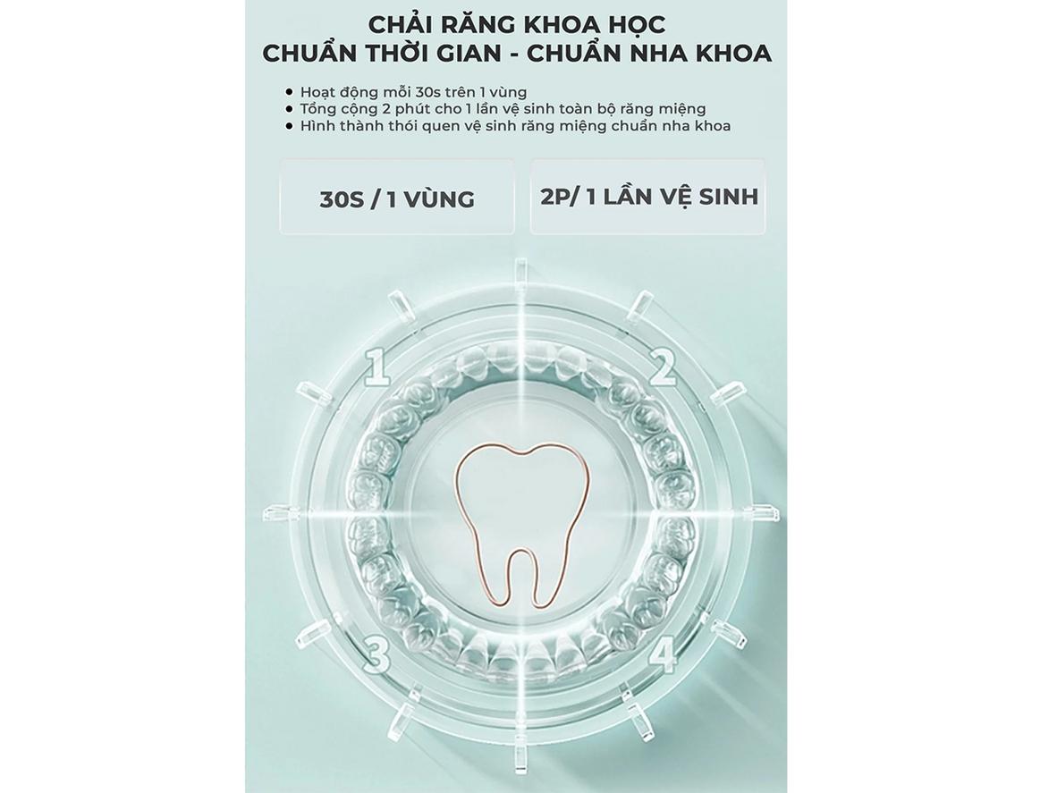 Tổng quan Bàn chải điện Magic B-20