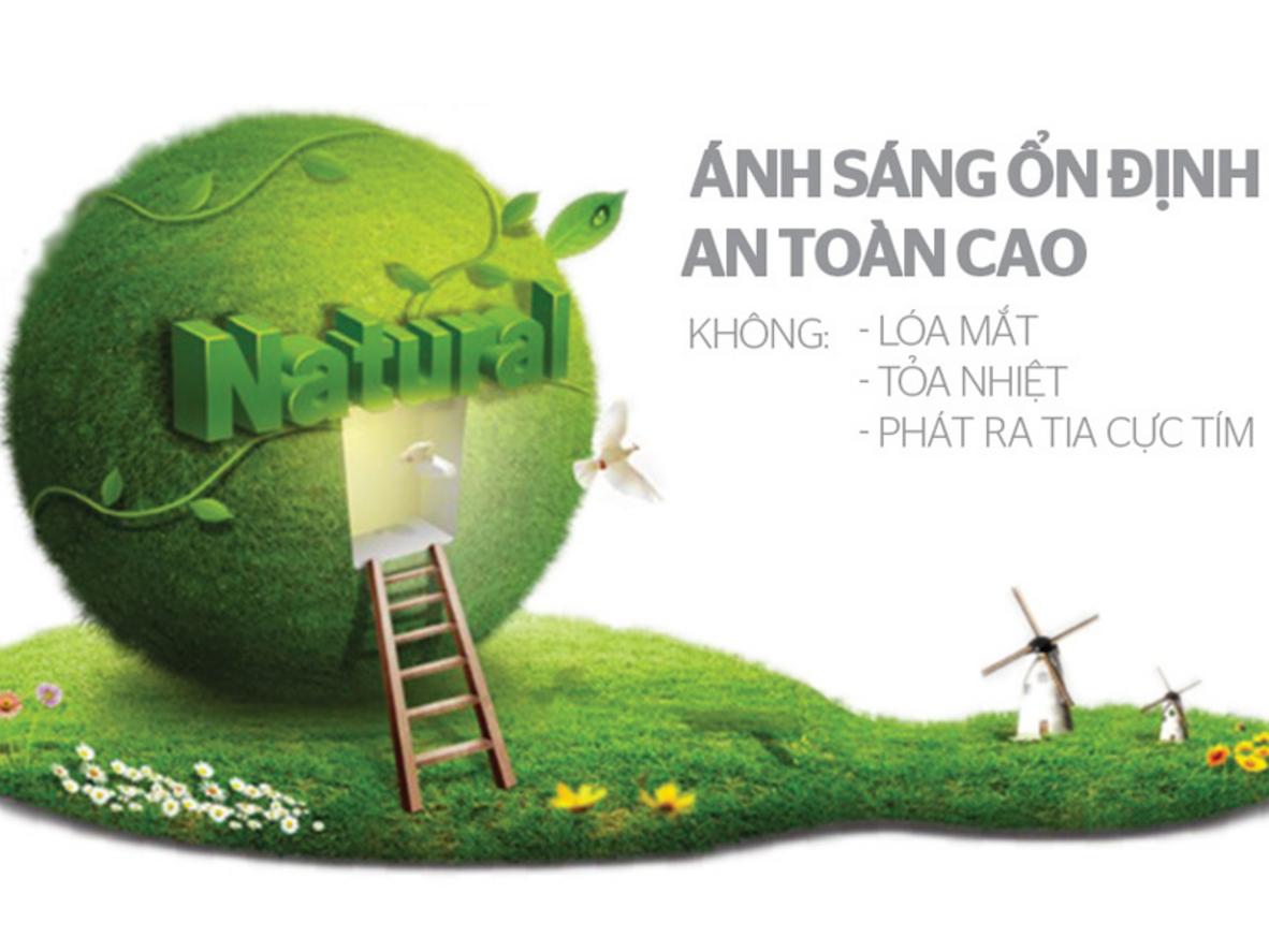 Quyền lợi khách hàng tại Siêu Thị Đại Việt