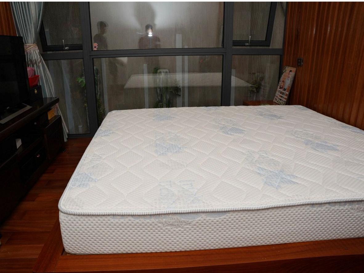 Lõi Talalay Latex nguyên khối (~20cm) cho nâng đỡ tự nhiên