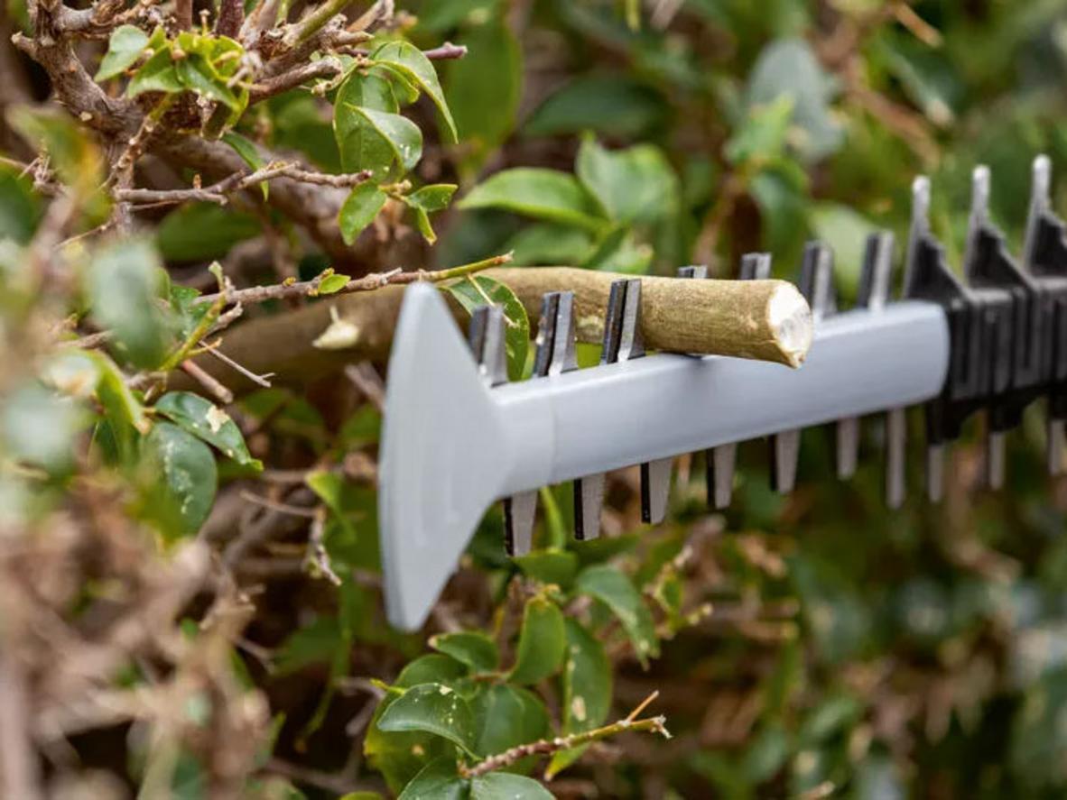 Quyền lợi khách hàng tại Siêu Thị Đại Việt