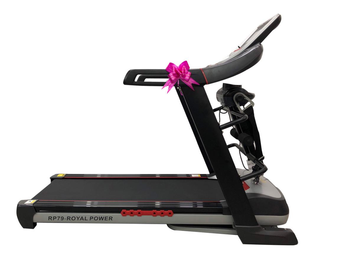 Tổng quan Máy chạy bộ điện Royal RP-79