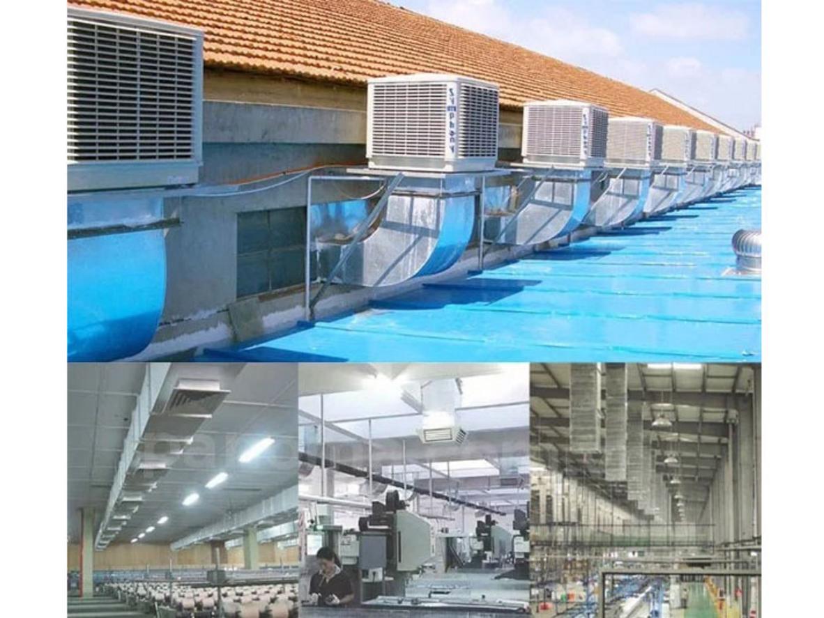 Quyền lợi khách hàng tại Siêu Thị Đại Việt