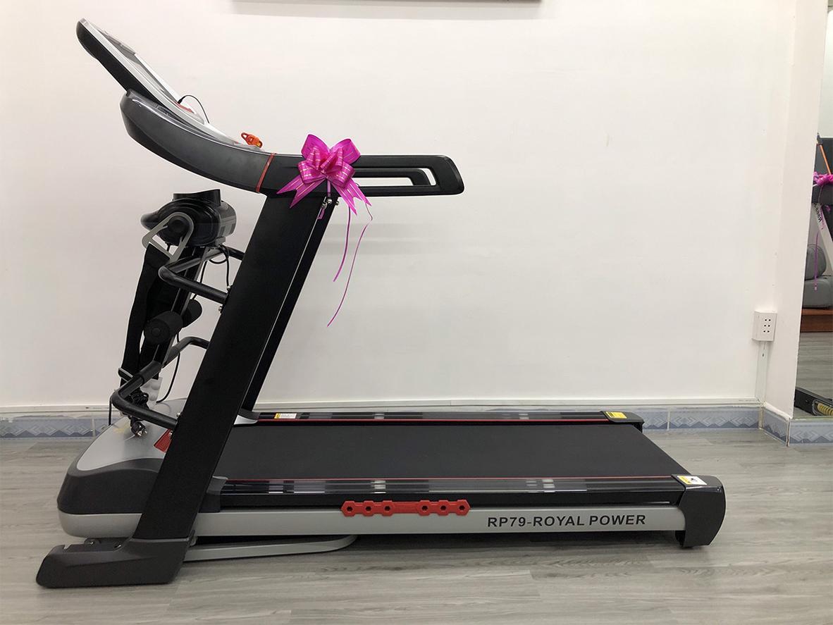 Động cơ DC 4.5HP của Royal RP-79