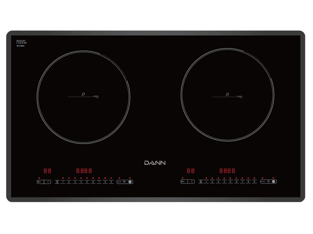 Tổng quan Bếp từ Dann DS-IB828 Plus