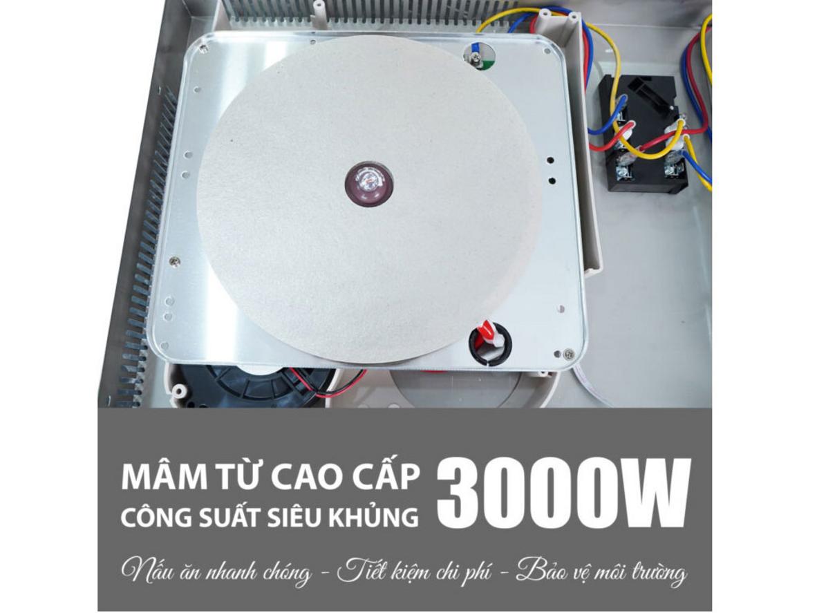 Tổng quan Bếp từ đôi Lorca LCI-806 Plus