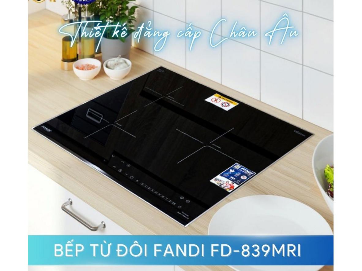 Tổng quan Bếp từ Fandi FD-839MRI