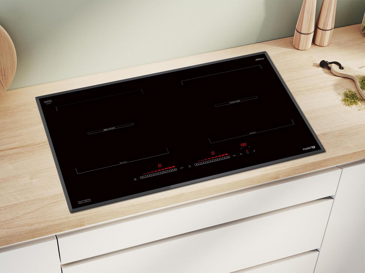 Tổng quan Bếp từ Fandi FD-866 Plus