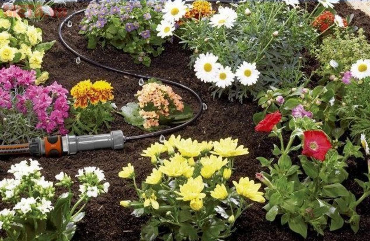 Chất liệu chống tia UV, bền ngoài trời