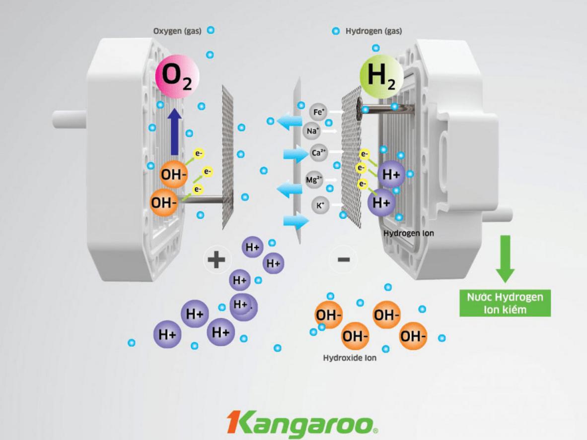 Công nghệ điện phân RO tạo nước Hydrogen ion kiềm