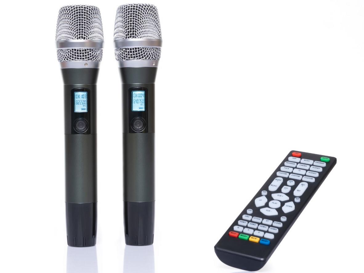 Công suất 450W/2CH cho trải nghiệm karaoke mạnh mẽ
