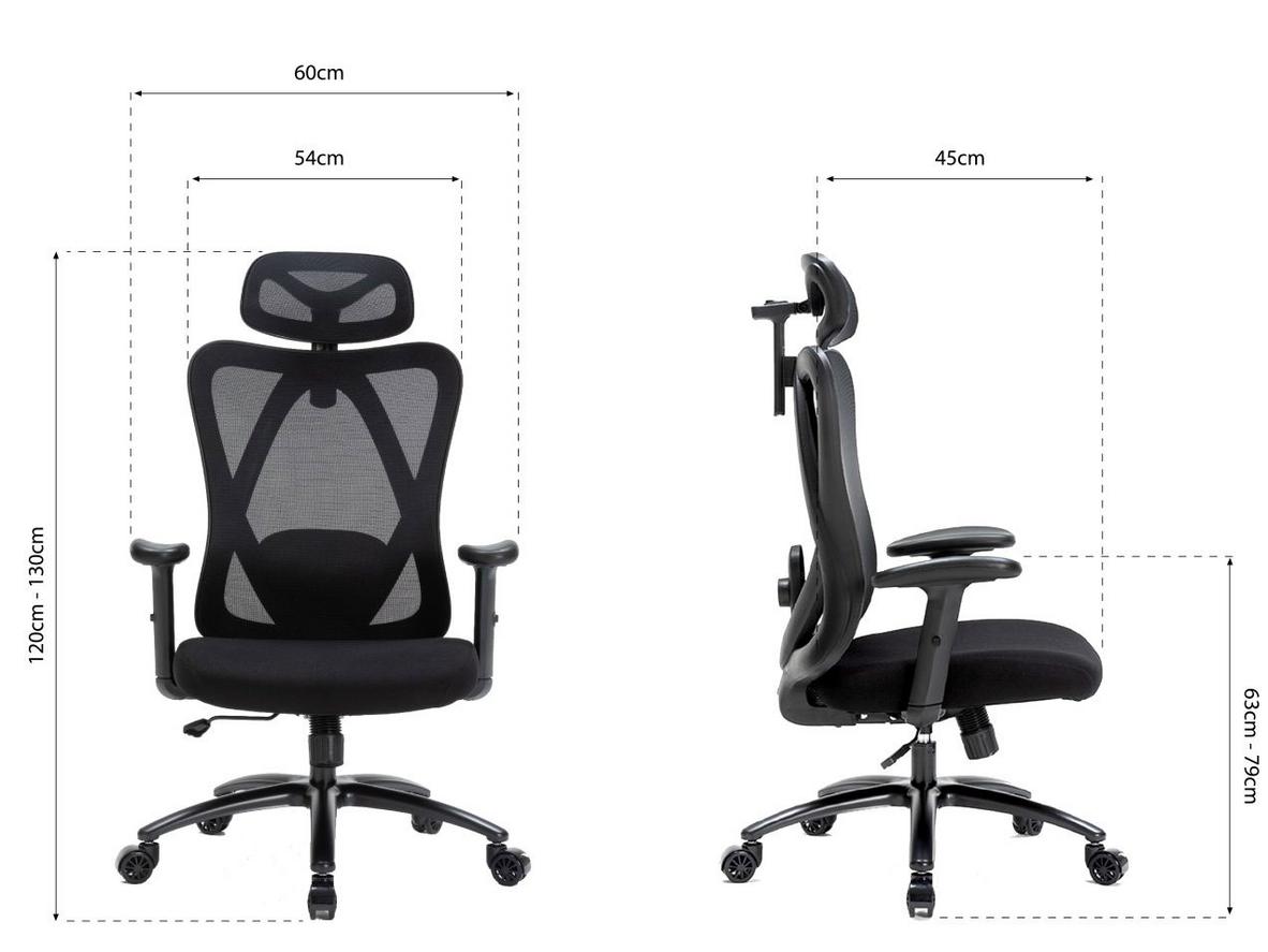 Tổng quan Ghế công thái học Warrior Hero series WEC501 Plus