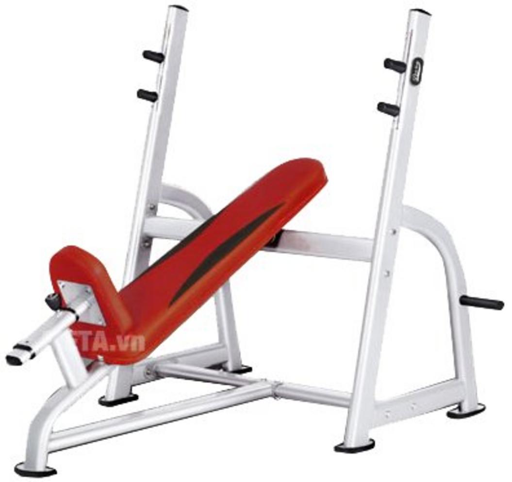 Tổng quan Ghế đẩy tạ bằng ngực trên Tiger Sport TG-220