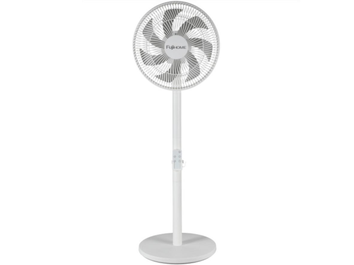 Tổng quan Quạt cây Fujihome SF3001