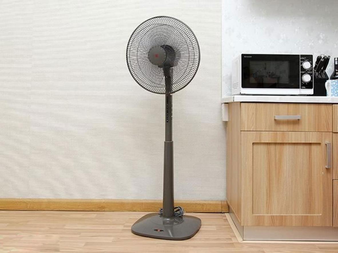 Tổng quan Quạt cây KDK M40K