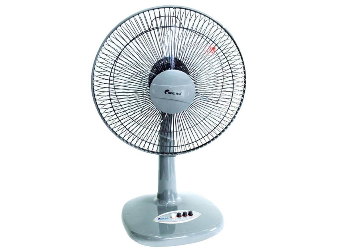Tổng quan Quạt cây lỡ HS 802