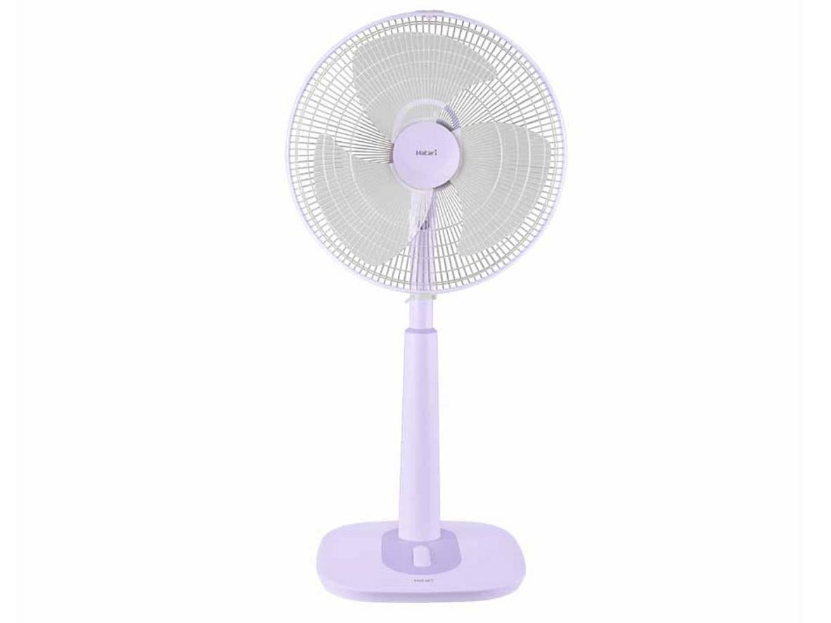 Tổng quan Quạt cây lửng Hatari S16M1