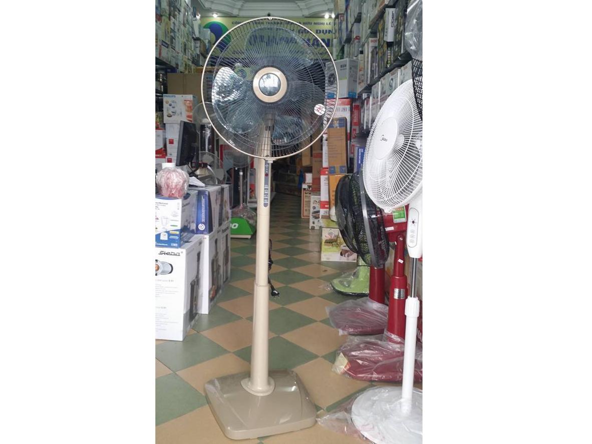 Luồng gió mạnh và lan tỏa rộng từ sải cánh 40cm
