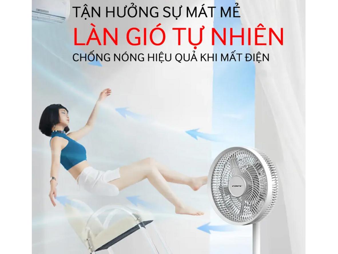 Tổng quan Quạt cây tích điện 5 cánh Coex CF-7123R